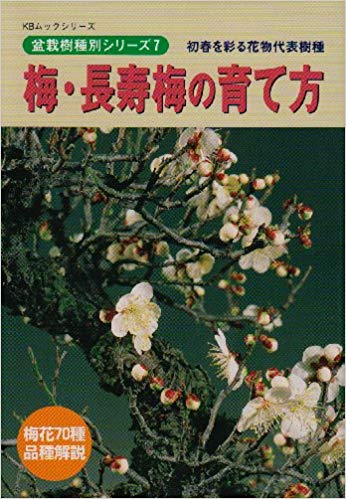 梅・長寿梅の育て方―初春を彩る花物代表樹種